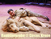 Circus Krone: öffentliche, kommentierte Raubtierprobe mit Martin Lacey jr. am 24.092.2019(©Foto: Martin Schmitz)